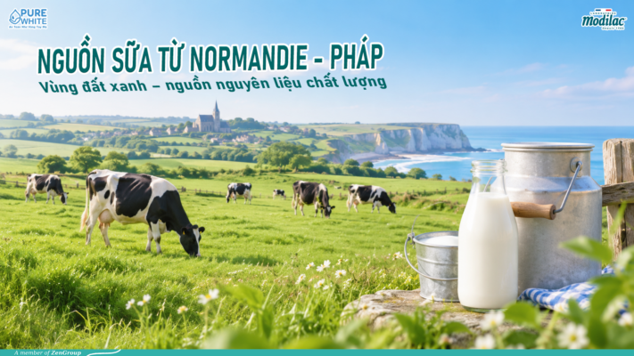 Nguồn sữa Normandie Pháp mang đến nguyên liệu tươi sạch cho sữa Modilac